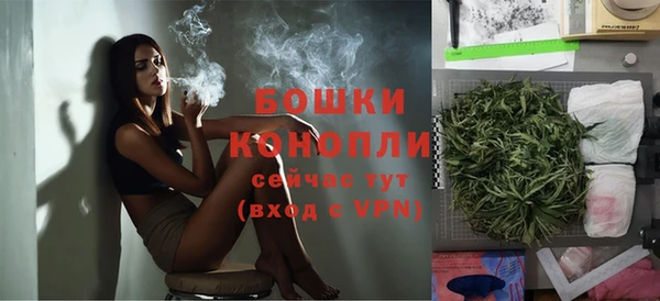 спайс Лагань