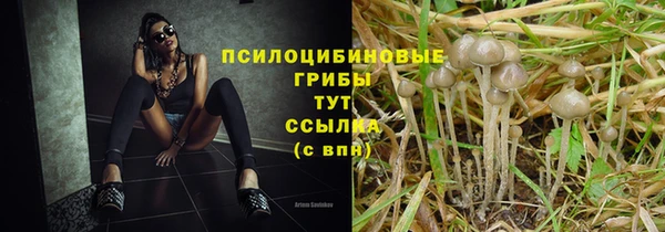синтетический гашиш Лабытнанги